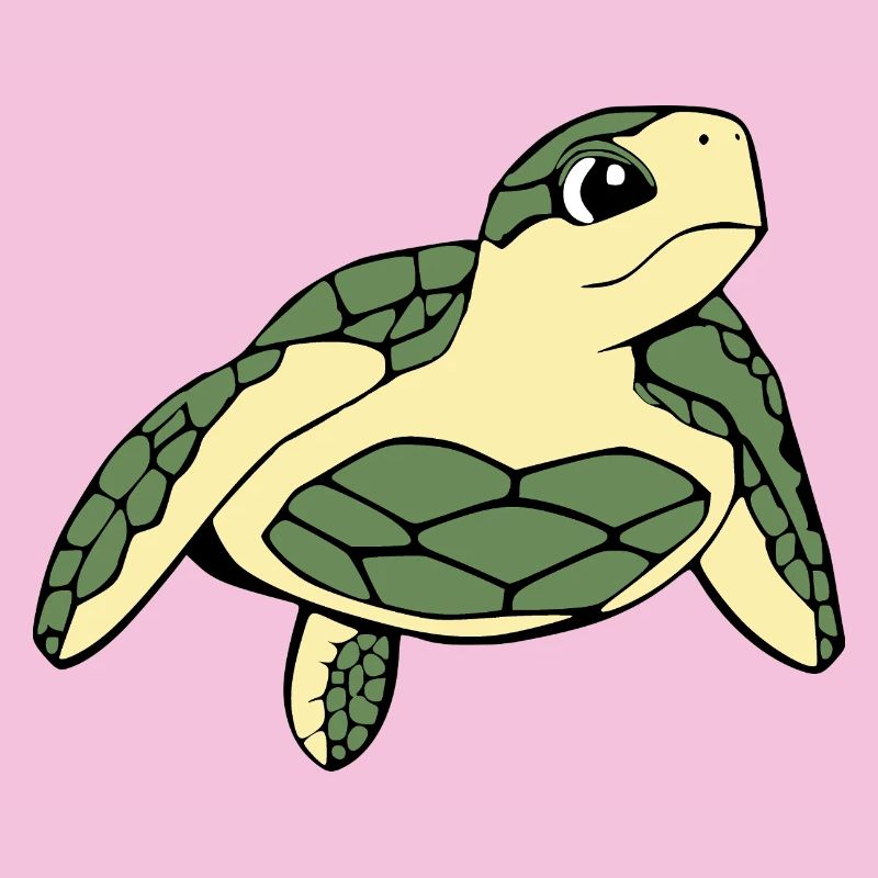 Turtle Turtles