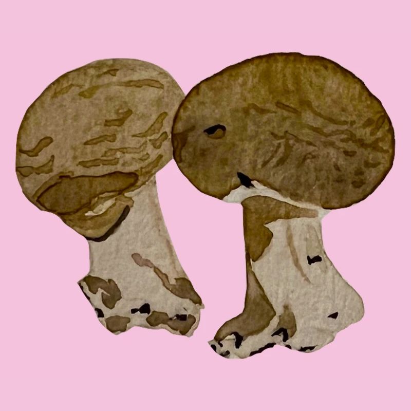 Champignons à l' aquarelle 