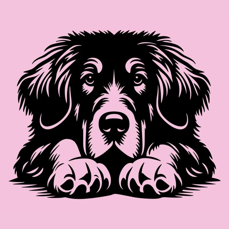 Tibetan Great Dane Head with Paws