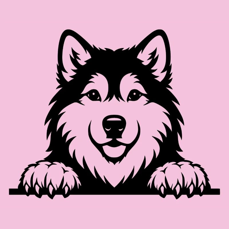 Alaskan Malamute Welpe schwarz