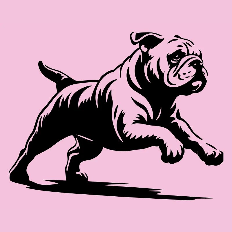 Bouledogue anglais