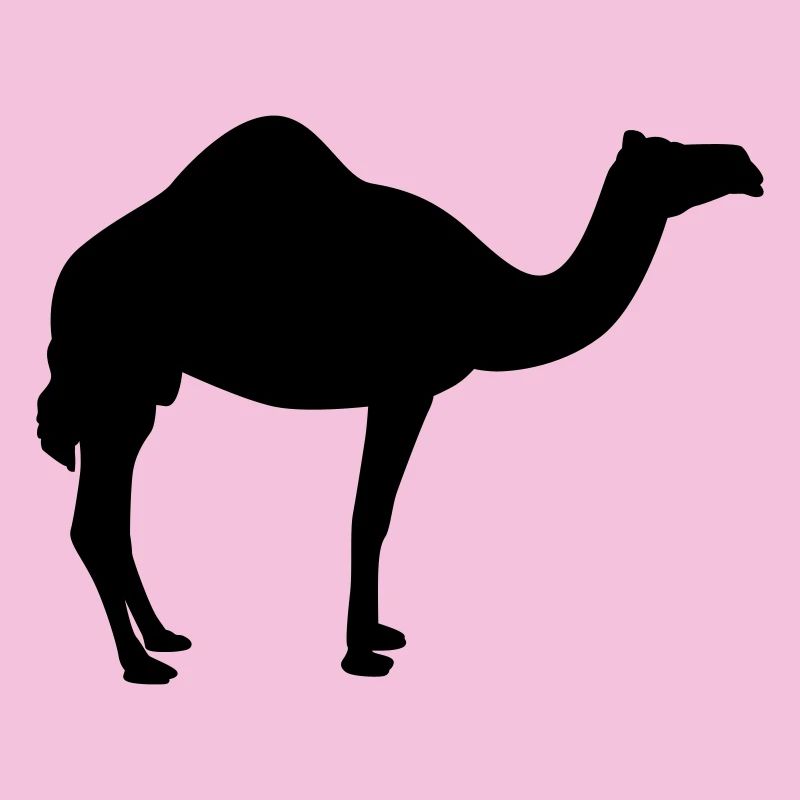 Kamel