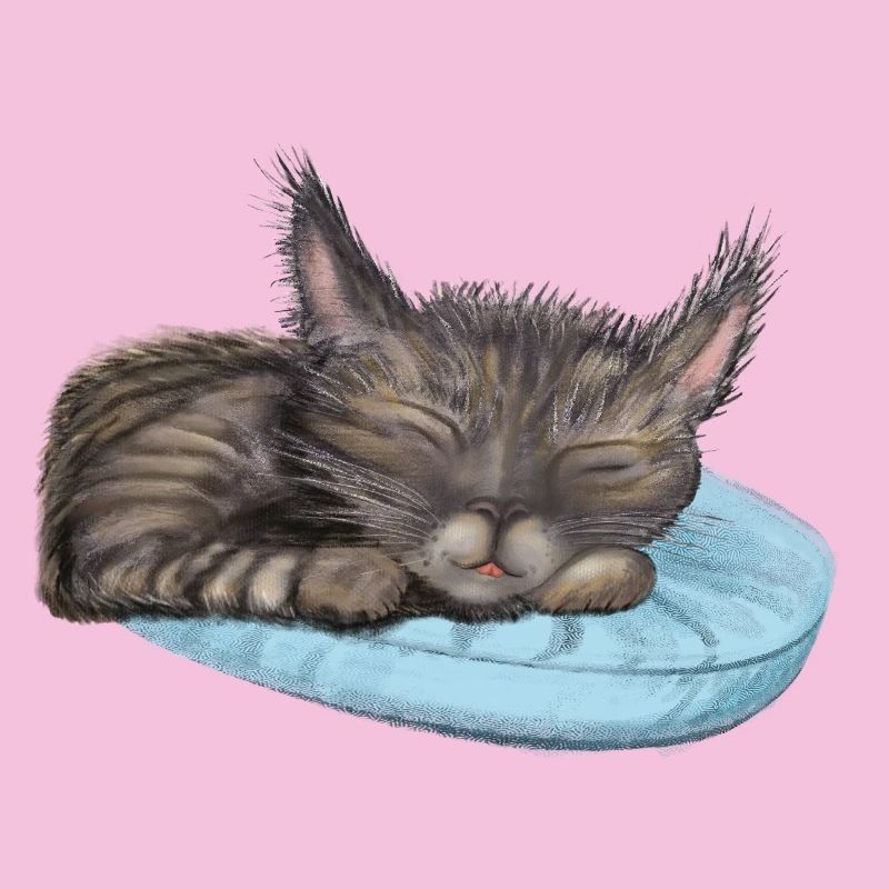 Chat endormi