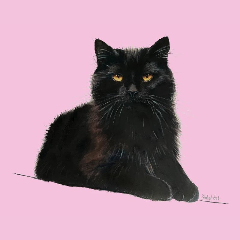Katze