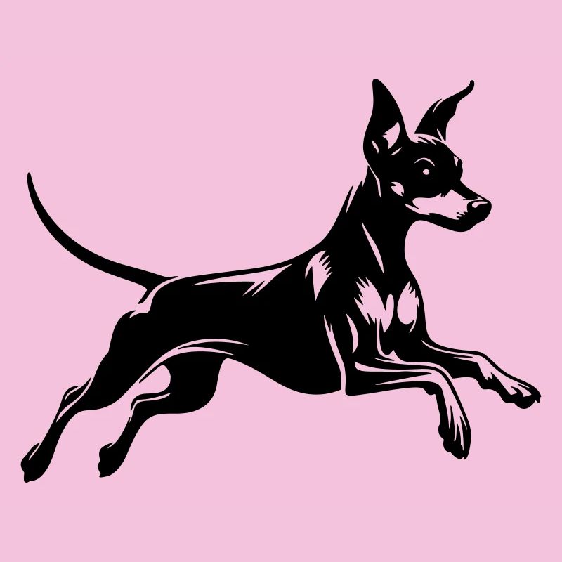 Zwergpinscher