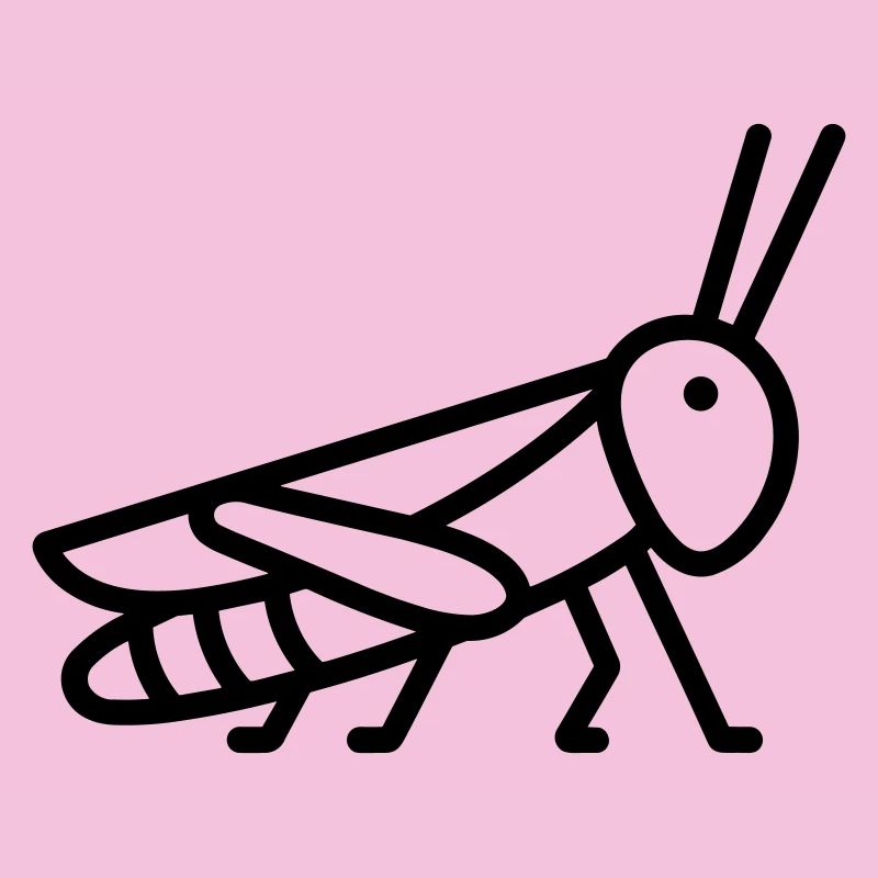 sauterelle