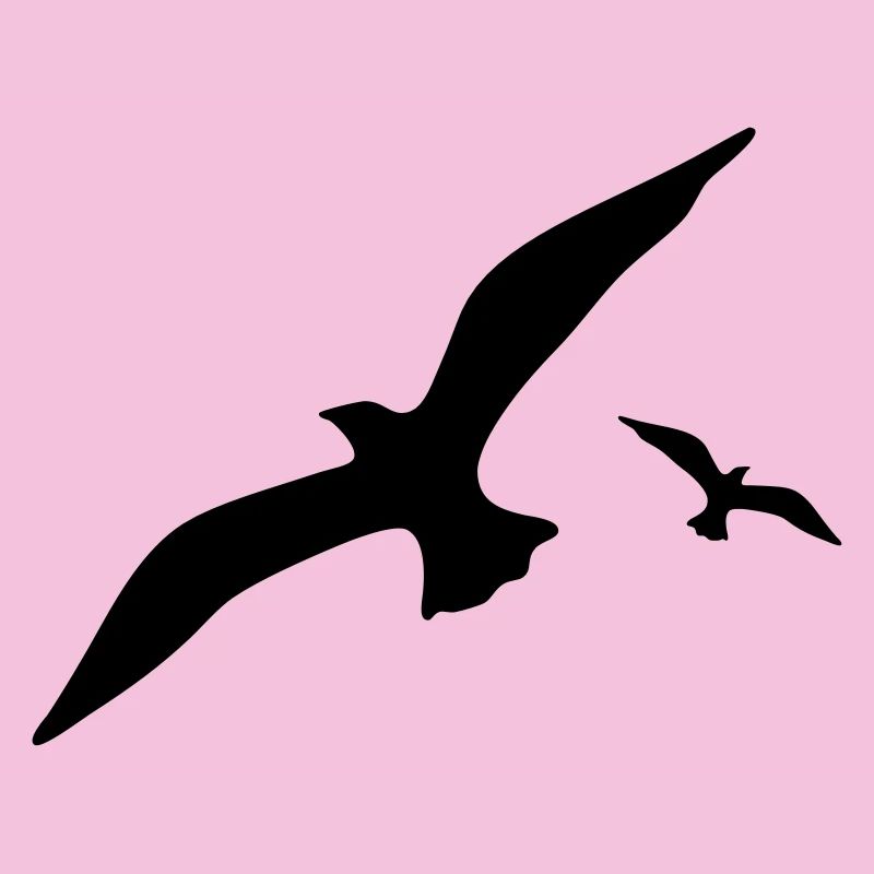 Möwe