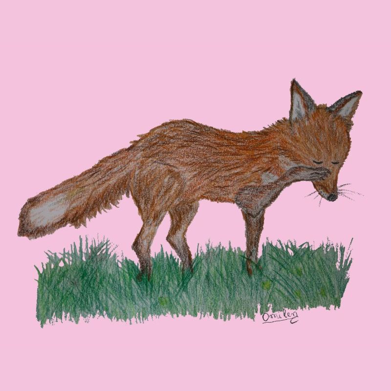 I'm just a fox
