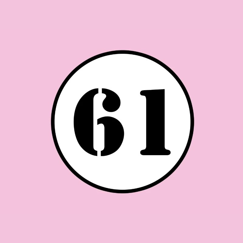 NUMBER 61 sixty one birthday gift