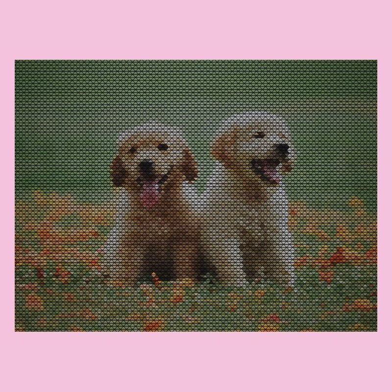 Zwei Labrador Retriever Welpen mit Dreickmuster