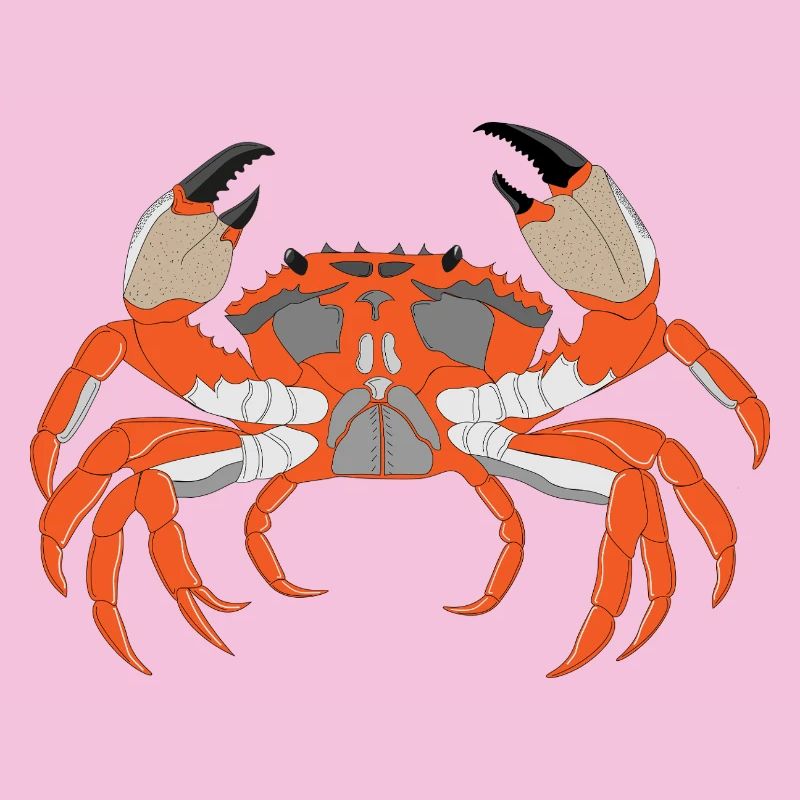 Empreinte de crabe