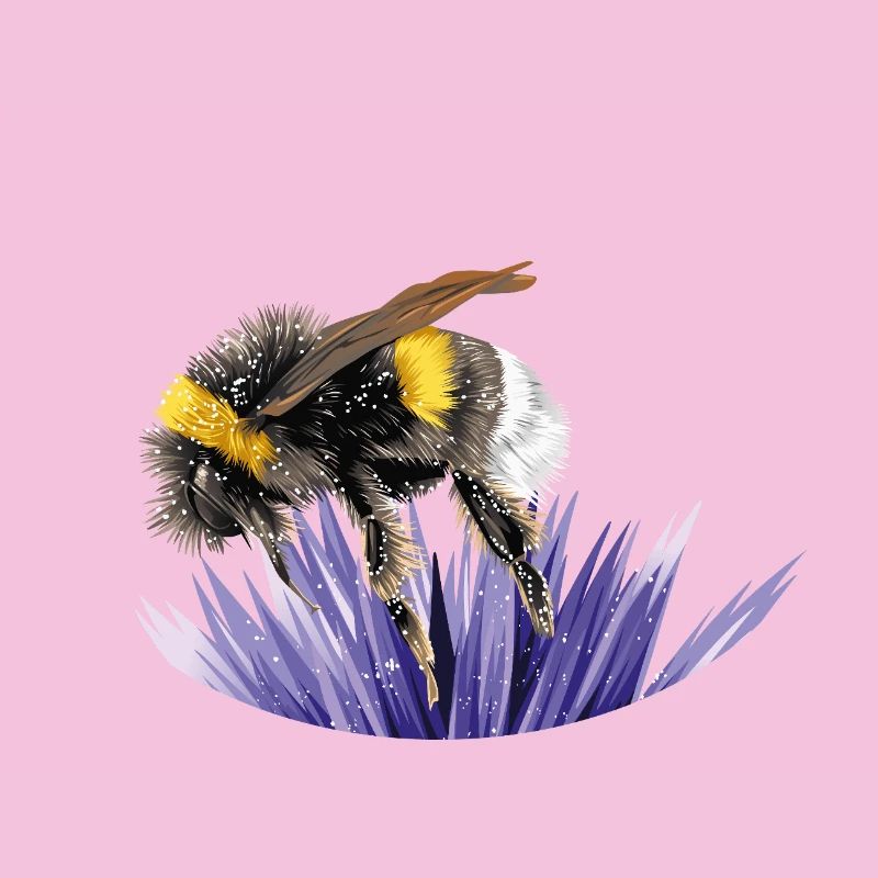 Hummel