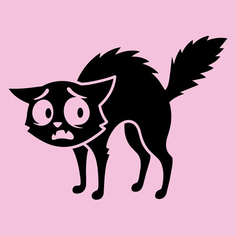 Chat effrayé