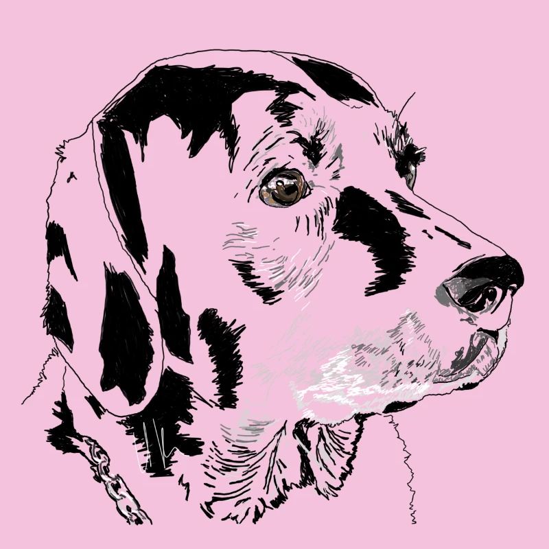 Labrador