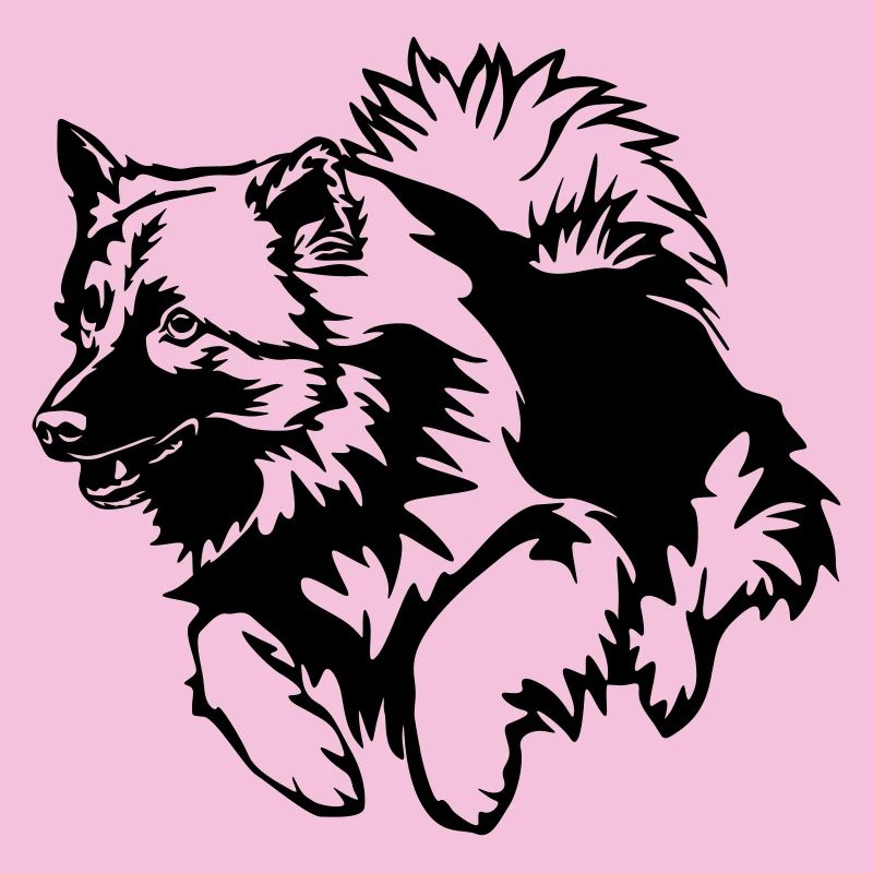 Wolfsspitz