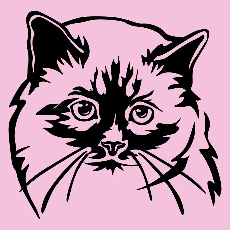 Birman Cat