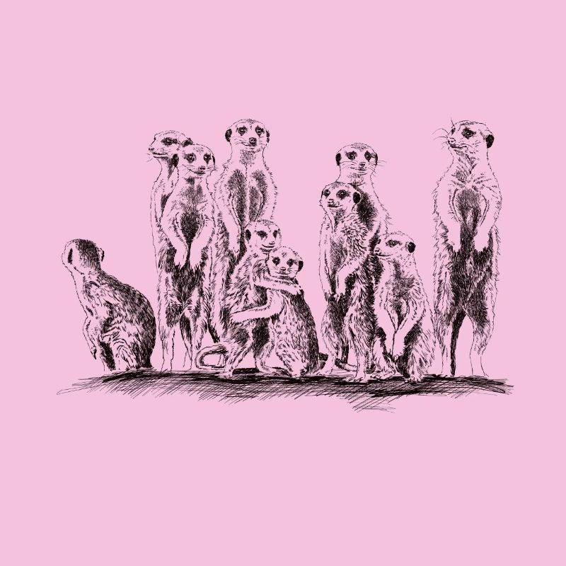 Erdmännchen