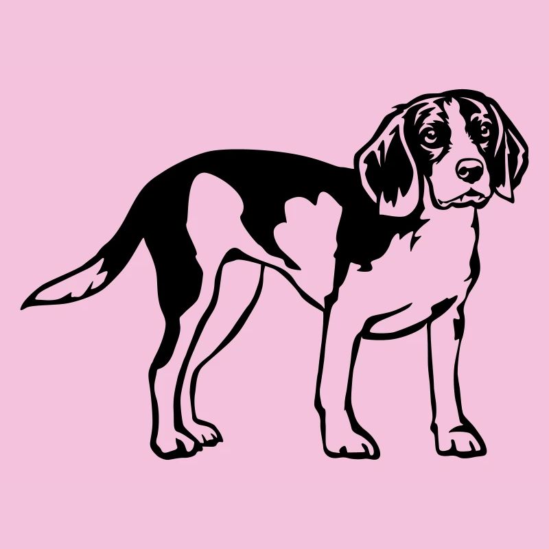 Beagle