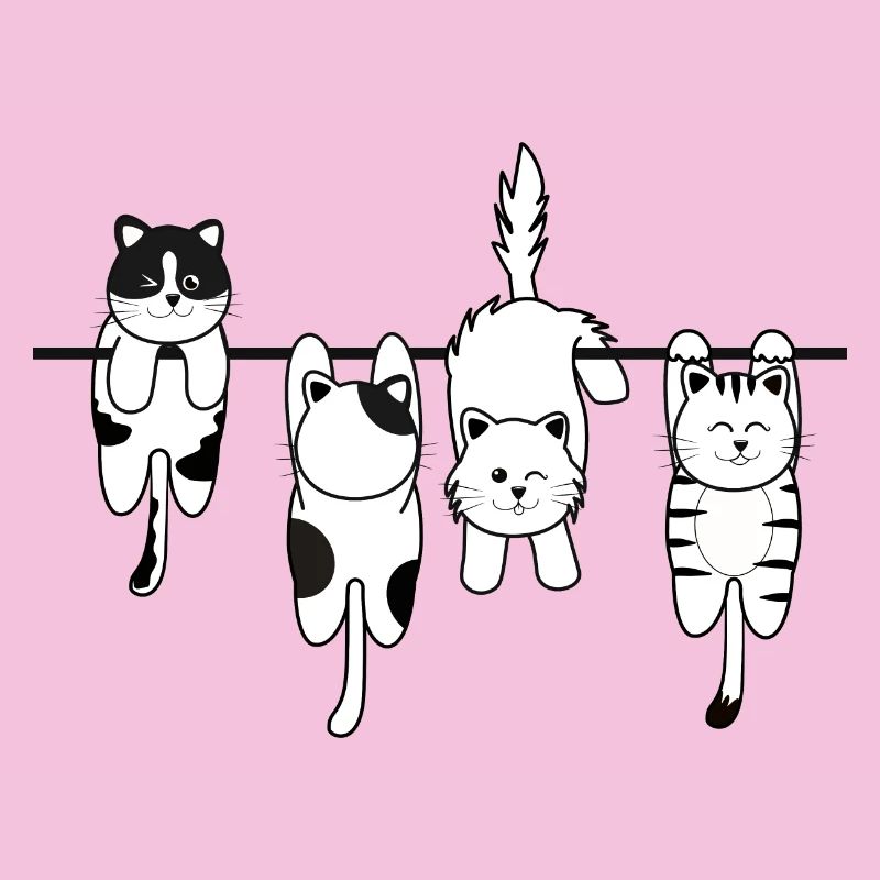 Chat de lessive