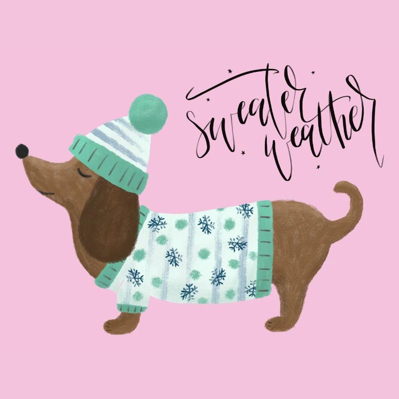 Teckel avec pull et chapeau - Sweater Weather