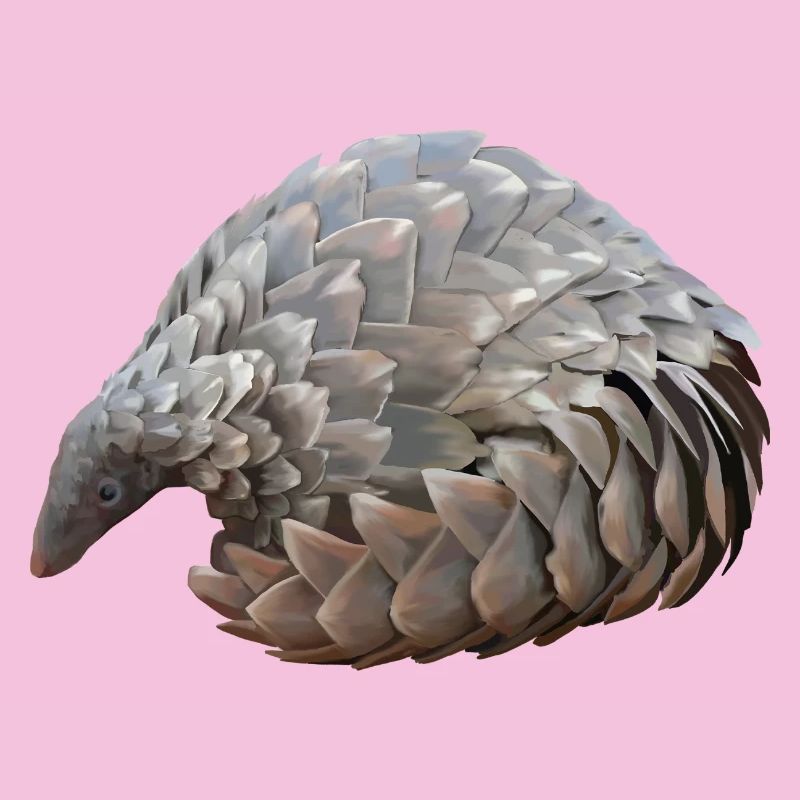 Pangolin dessiné à la main