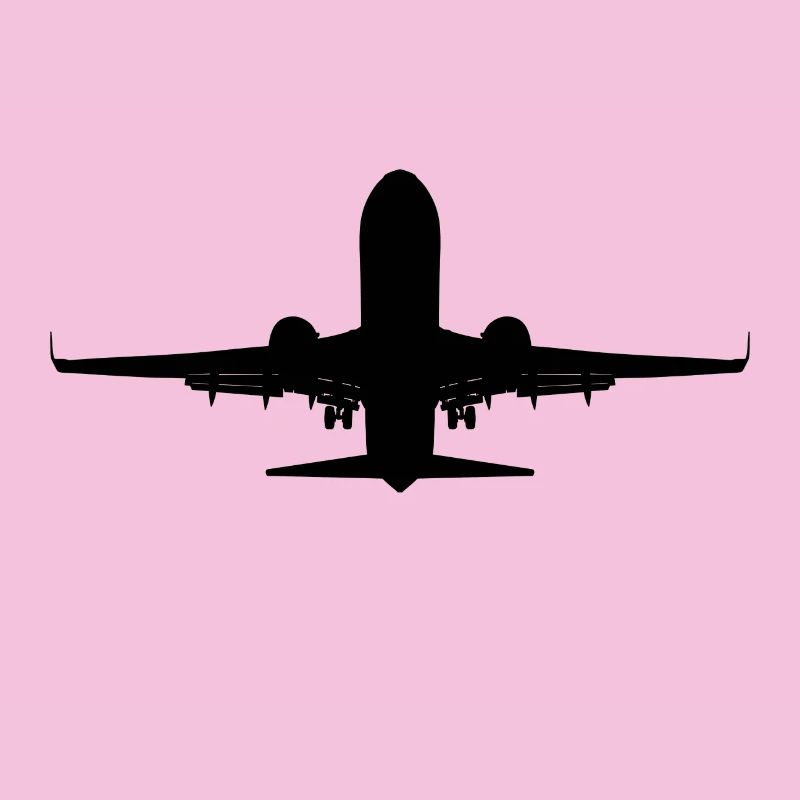 Flugzeug