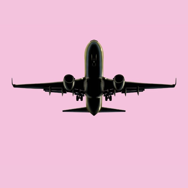 Flugzeug