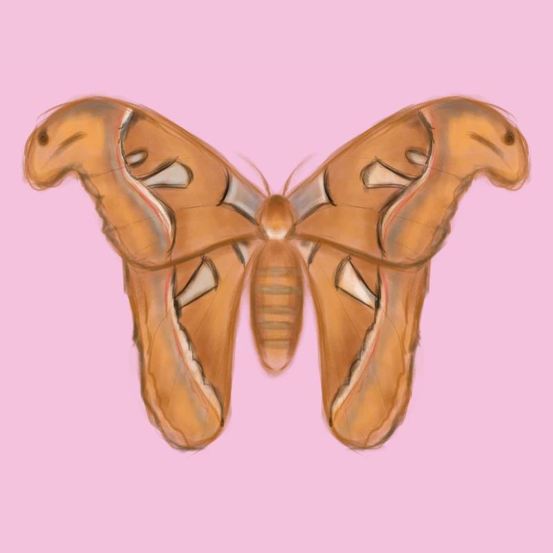 Mite