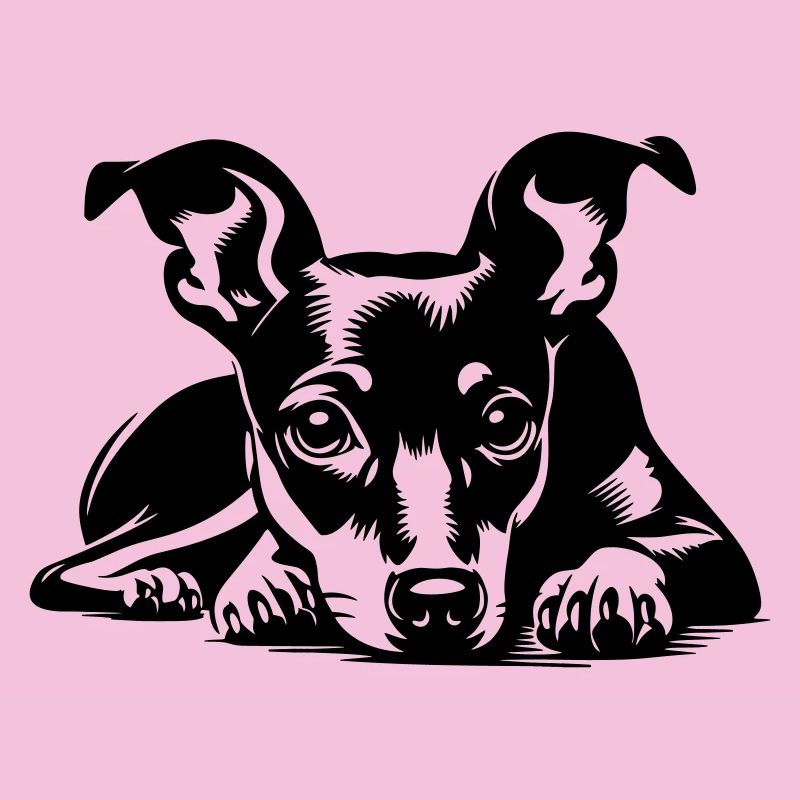 Zwergpinscher