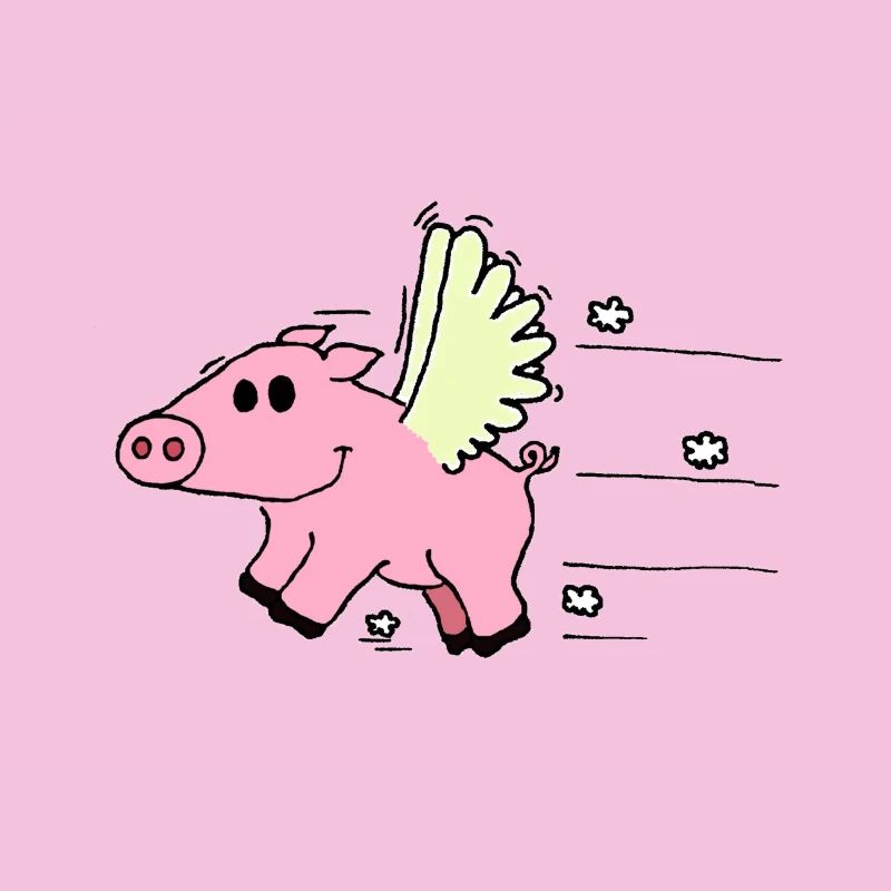 Flying Pig