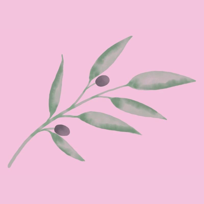 Olive Branch