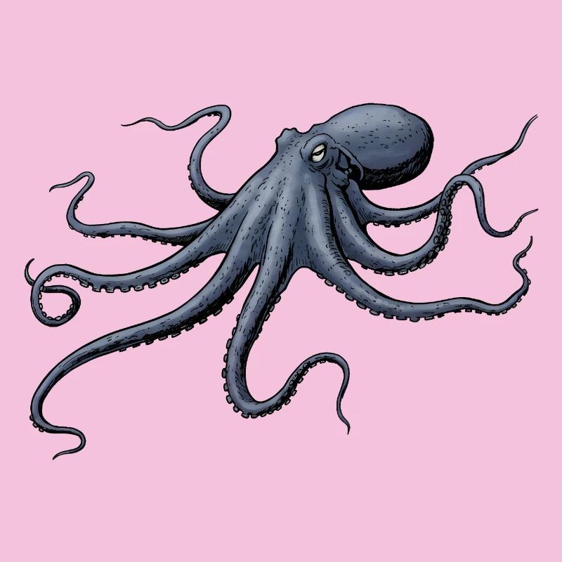 Midnight Blue Octopus Octopus