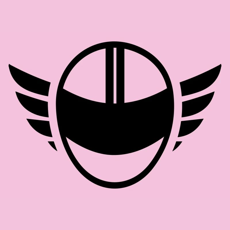 Motorcycle helmet with wings