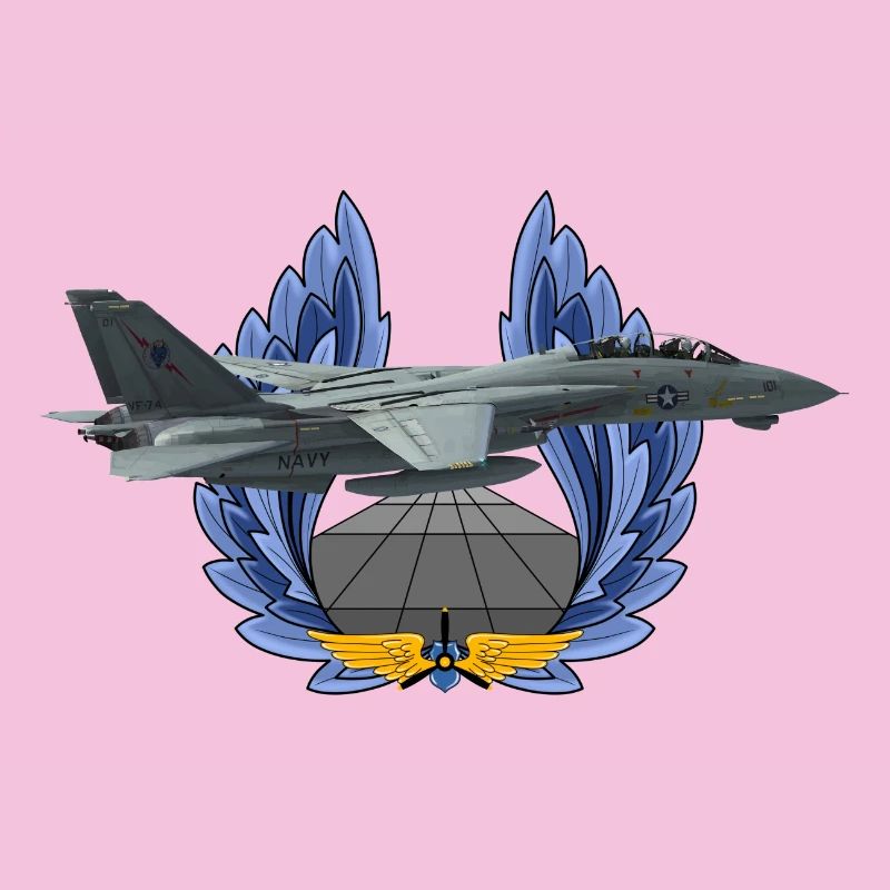 F-14 Tomcat