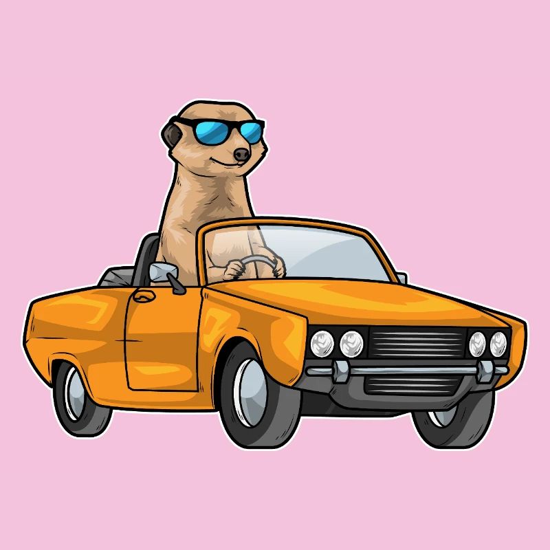 Erdmännchen Auto