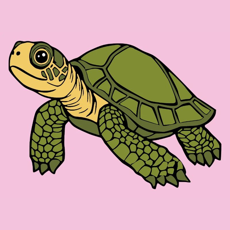 Turtle Turtles