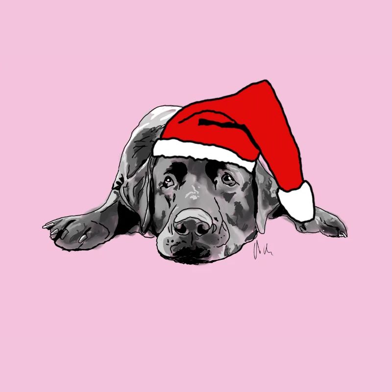 Noël Labrador