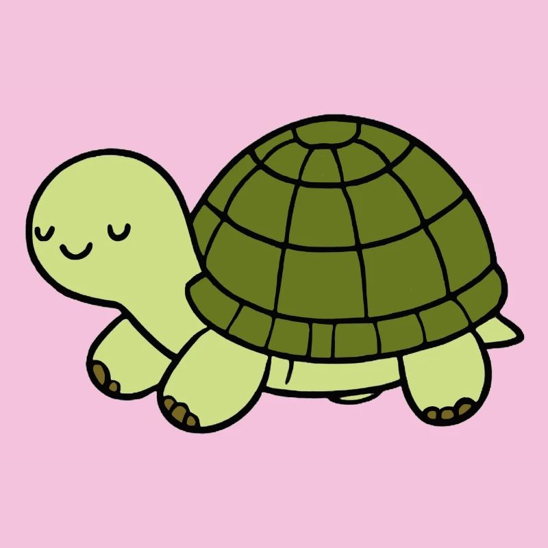 Turtle