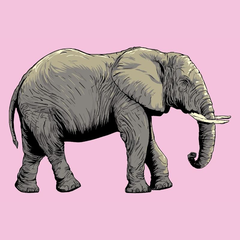 Conception individuelle de l’éléphant