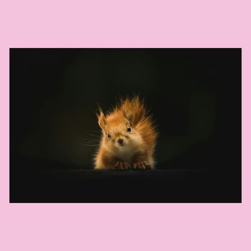 Flauschiges Eichhörnchen Lichtblick