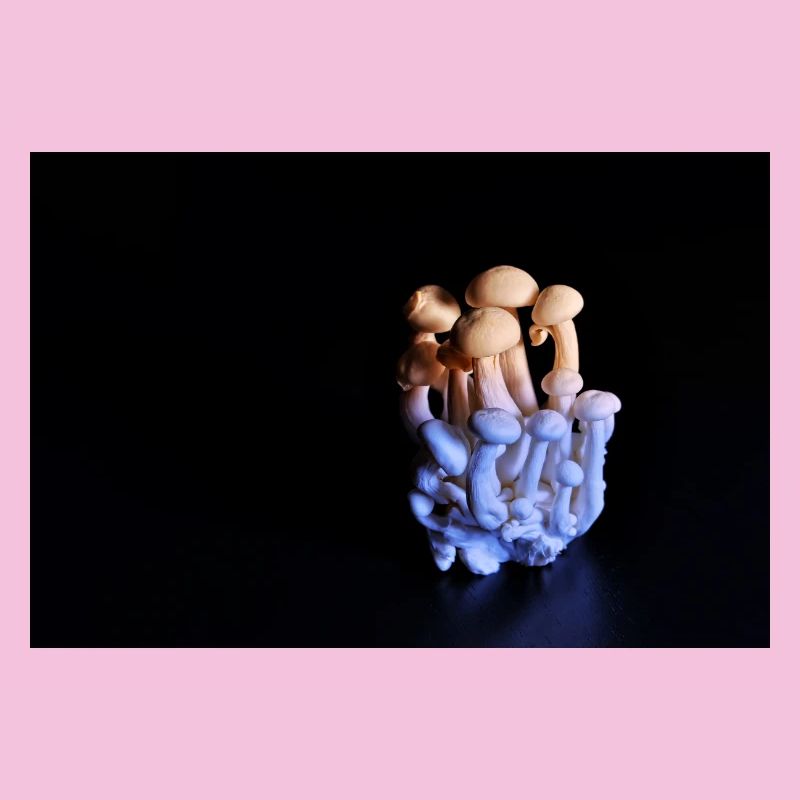 Luminous Mushroom Cluster Neon Glow