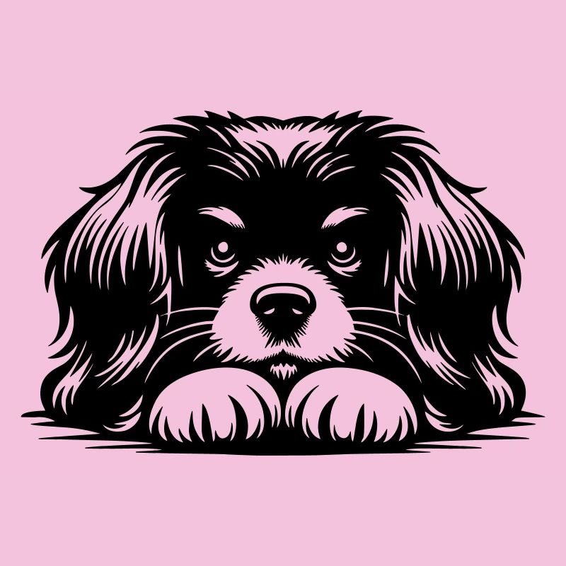 Tibetan Spaniel Head with Paws