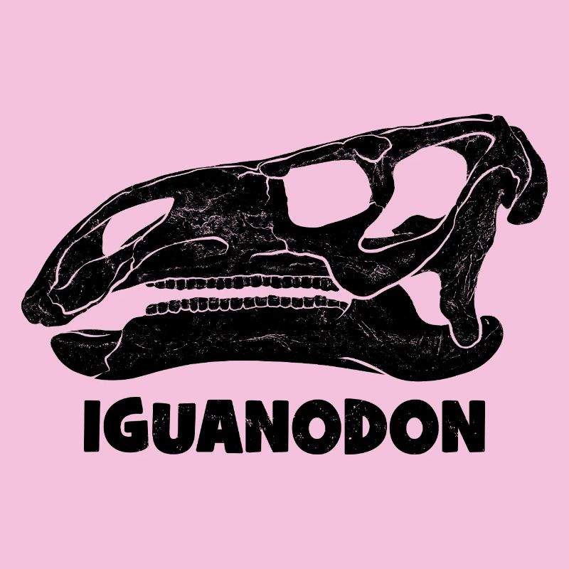 Fossile de crâne d’iguanodon