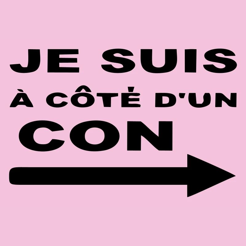 Je Suis À Côté D UN CON