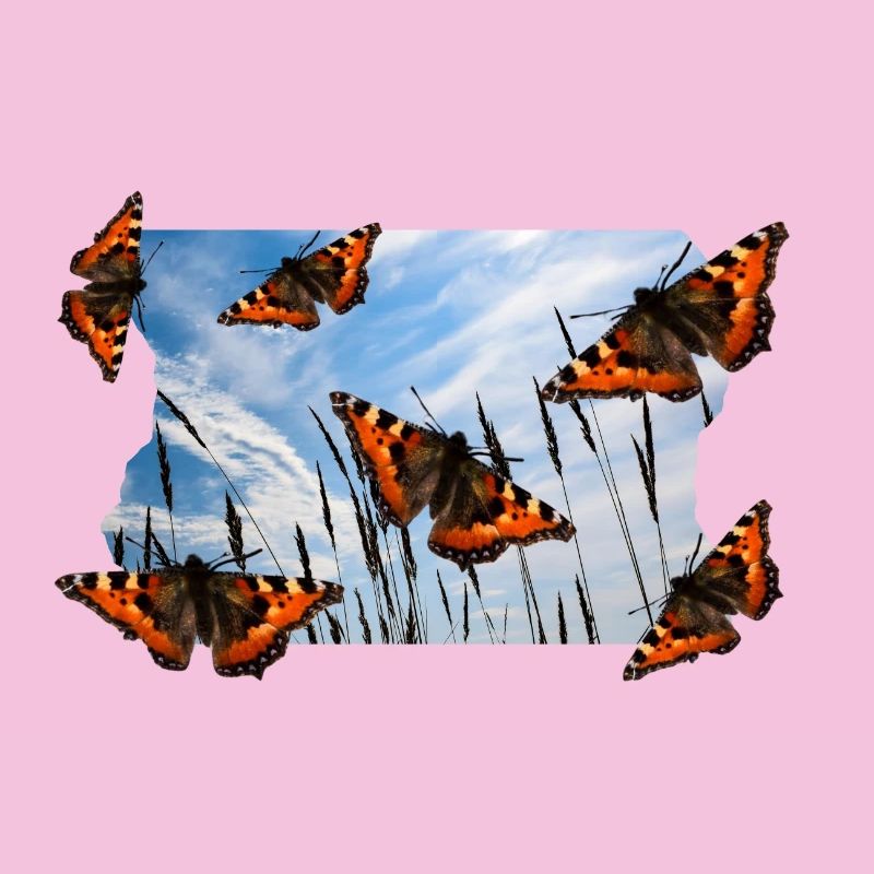 BUTTERFLY