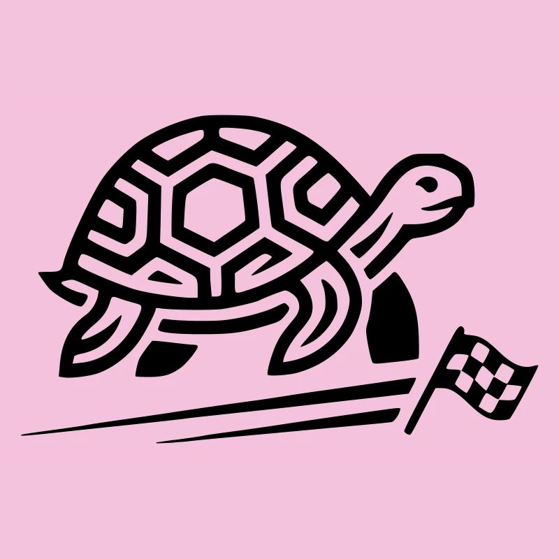tortue