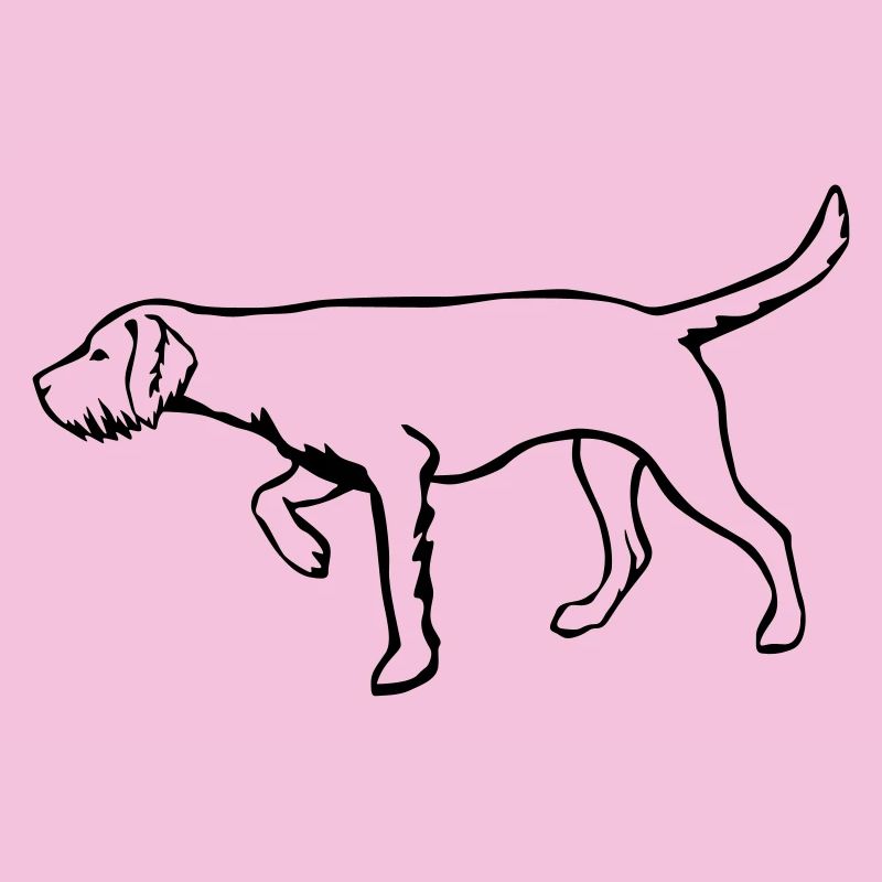 Magyar Vizsla