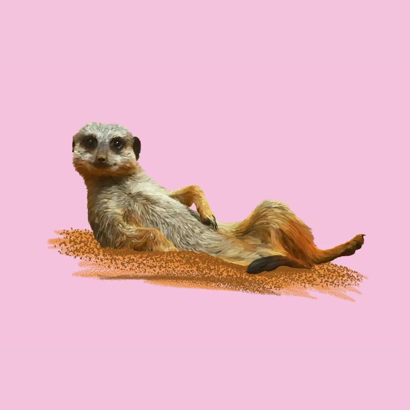 Erdmännchen