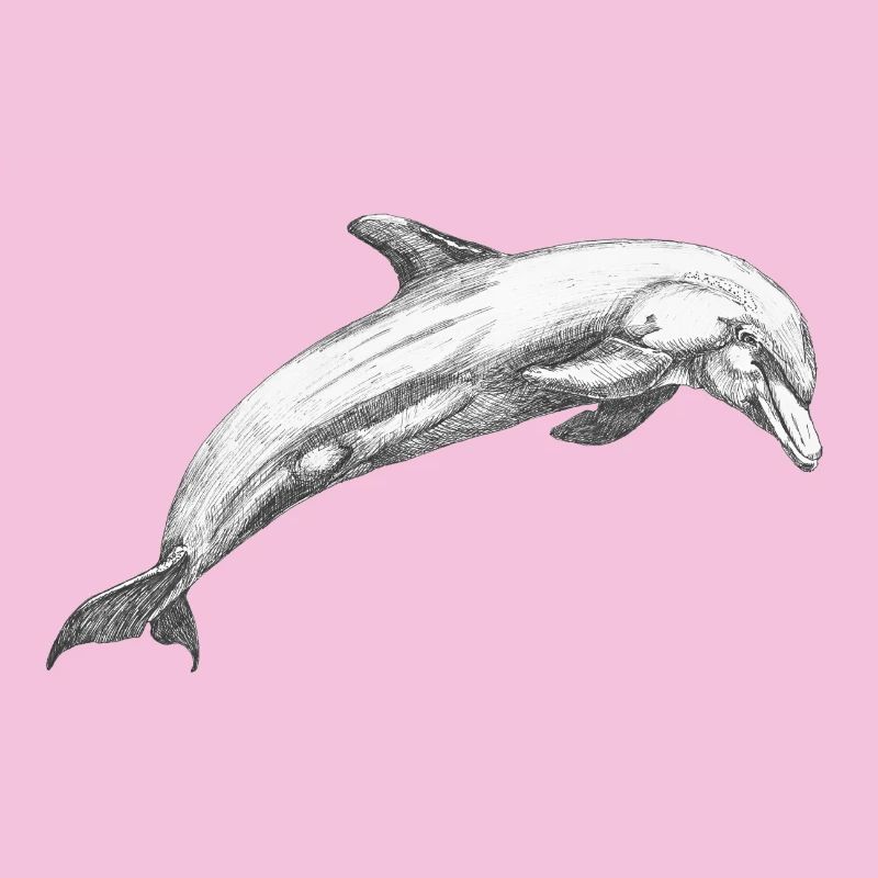 Delfin Dolphin