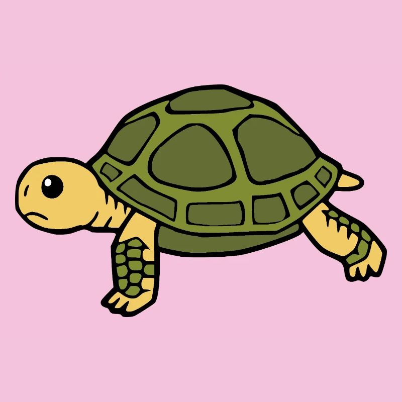 Turtle Turtles